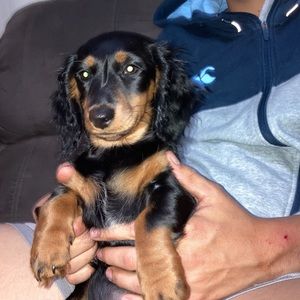 Meet your Posher, Emmy